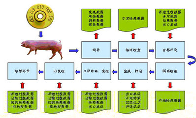 Ninetowns Internet Technology Group Company Limited